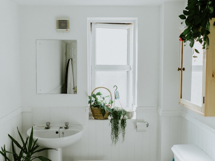 Old tub and shower combination